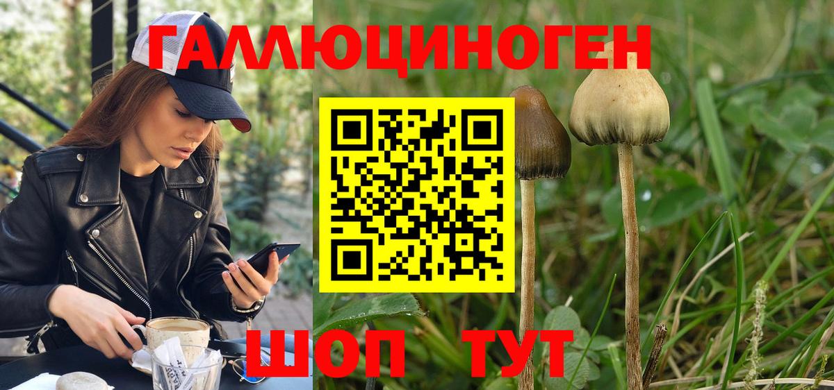Галлюциногенные грибы Psilocybe  Вход с VPN  Псилоцибиновые грибы мицелий  Шелехов 
