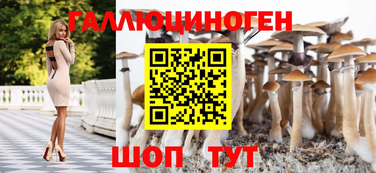 Псилоцибиновые грибы прущие грибы Шелехов